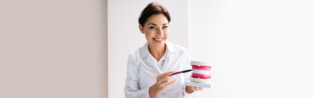 Smiling dentist in a white coat pointing to a model of teeth