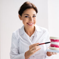 Dental teeth model at Welland dental clinic.